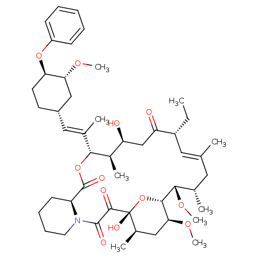 PNG