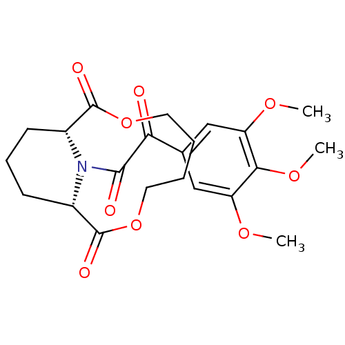 PNG