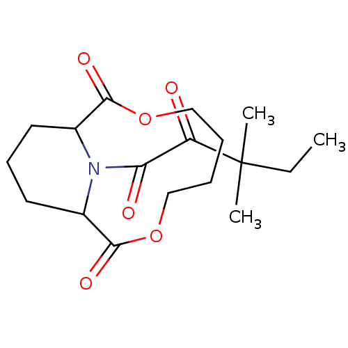 PNG