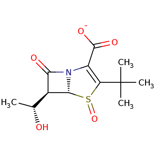 PNG