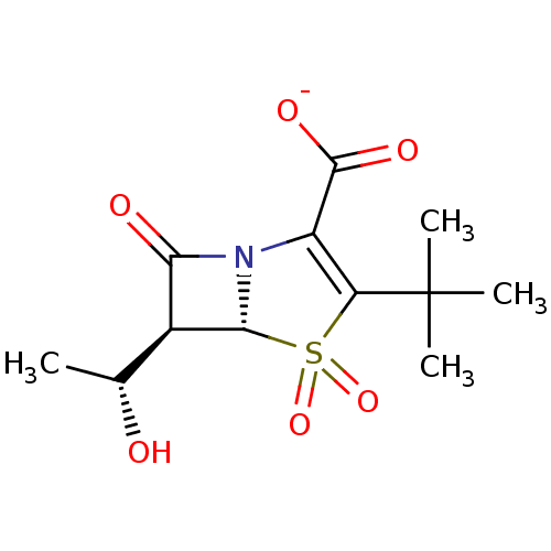 PNG