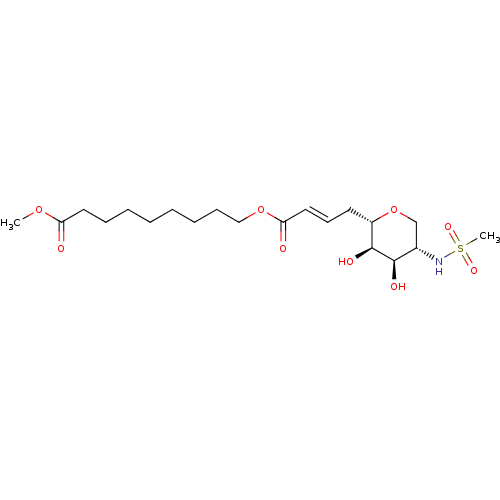 PNG