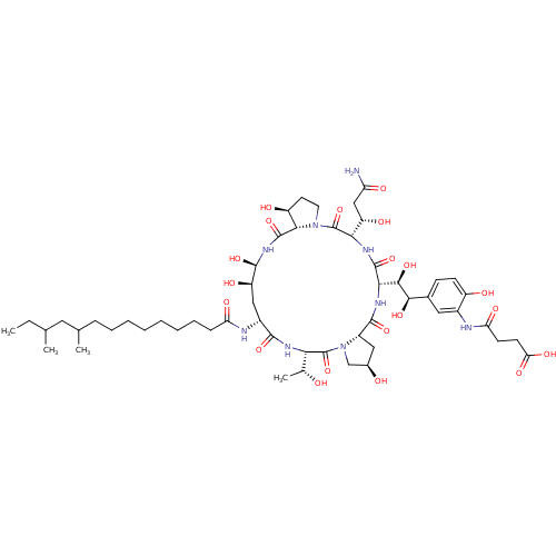 PNG