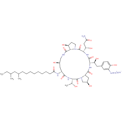 PNG