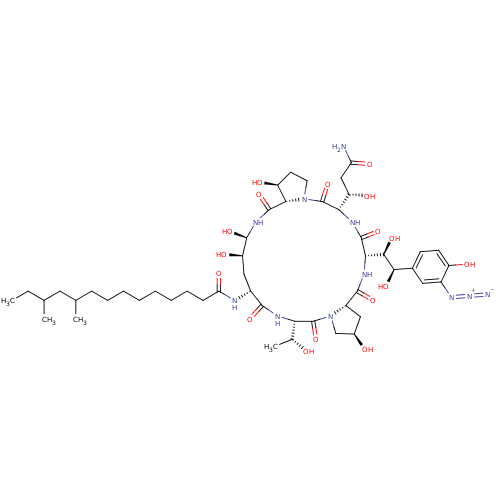 PNG