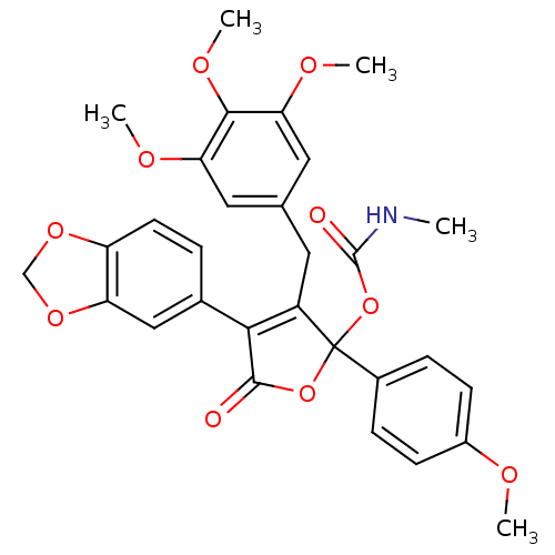 PNG