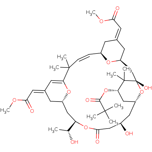 PNG