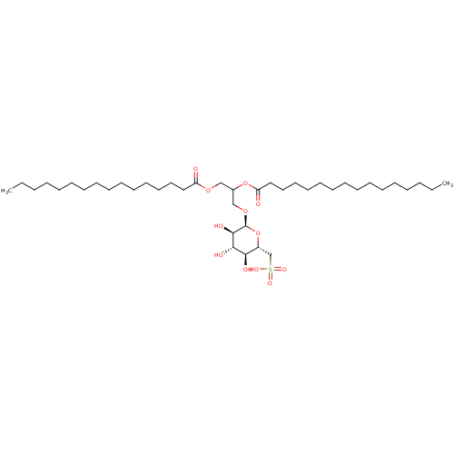 PNG