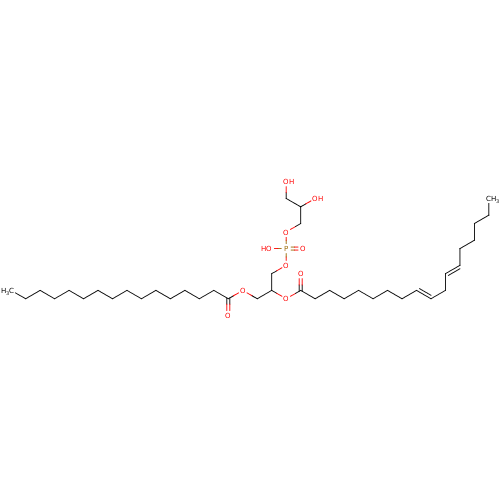 PNG