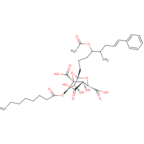 PNG
