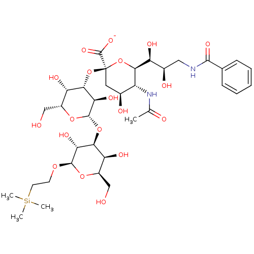 PNG