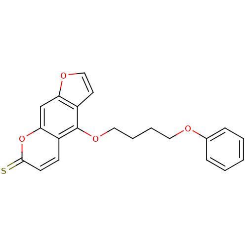 PNG