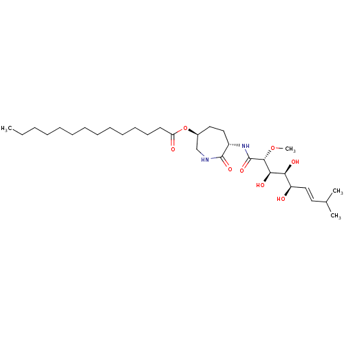 PNG