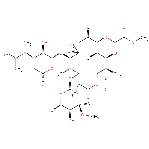 PNG