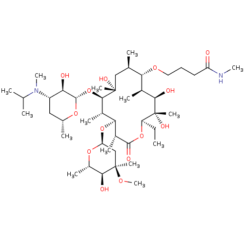 PNG