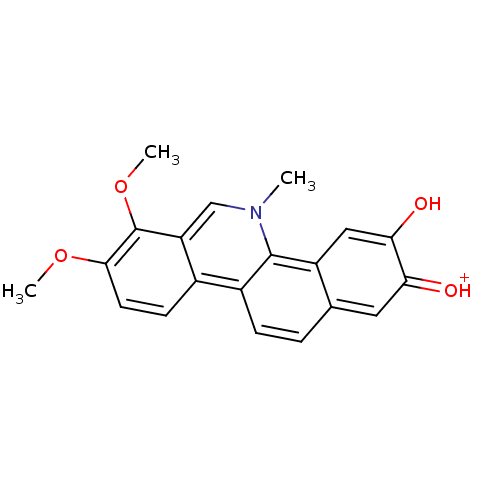 PNG