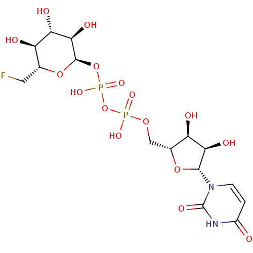 PNG