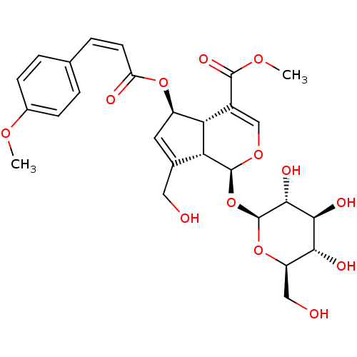 PNG