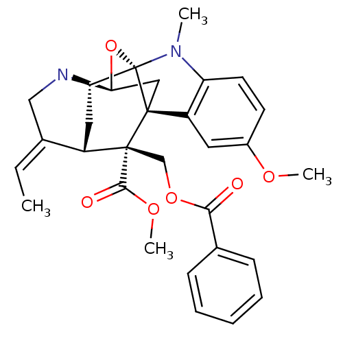 PNG