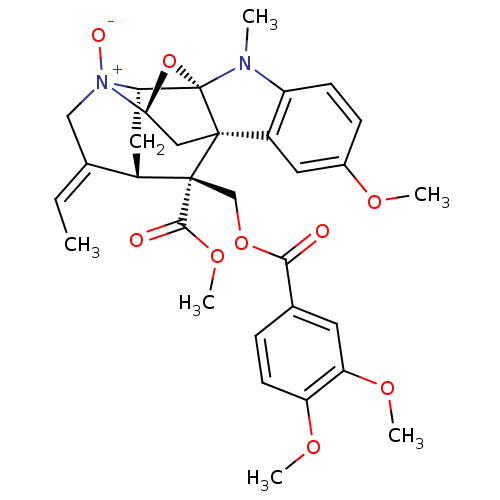 PNG