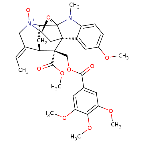 PNG