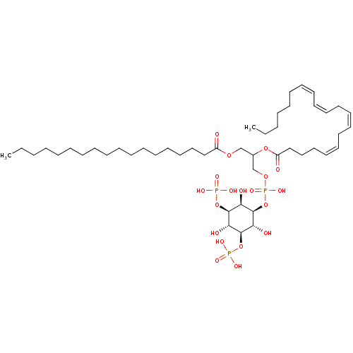 PNG