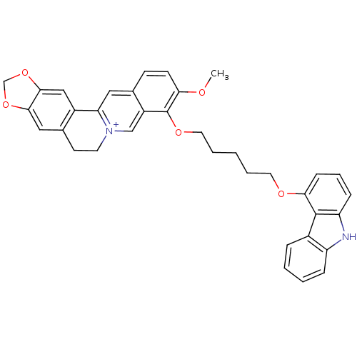 PNG