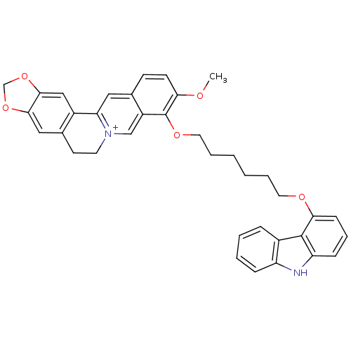PNG