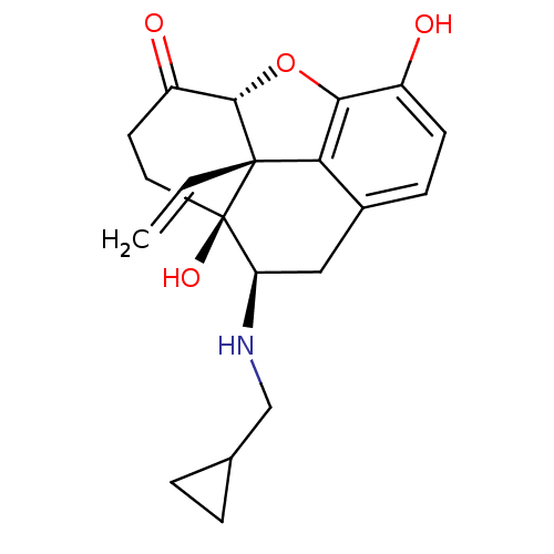 PNG