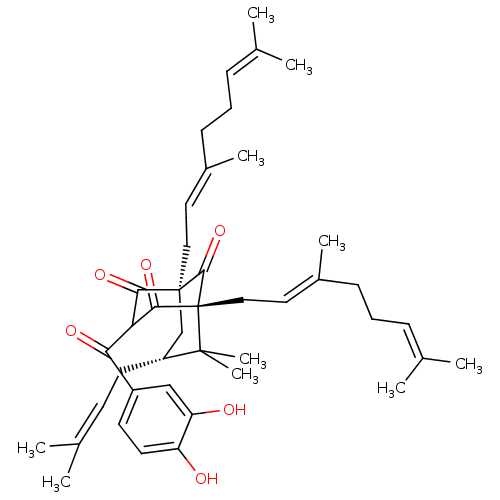 PNG
