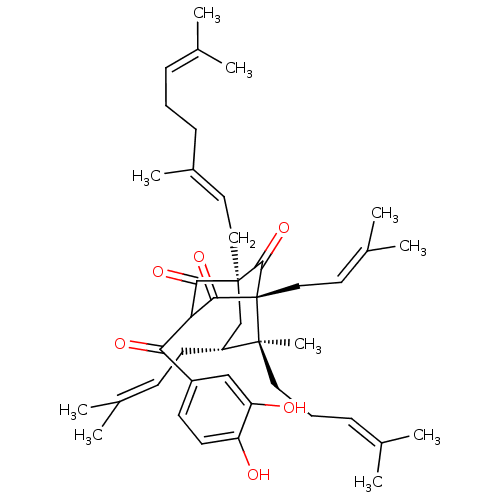 PNG