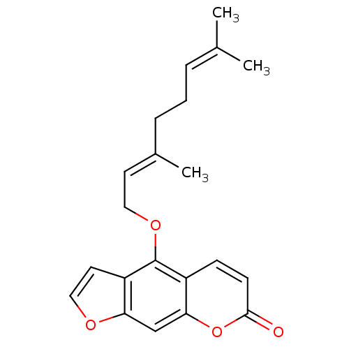 PNG