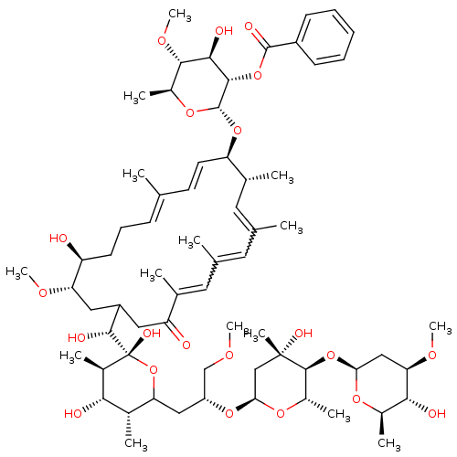 PNG