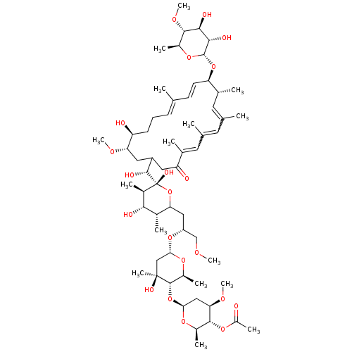PNG