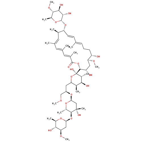 PNG