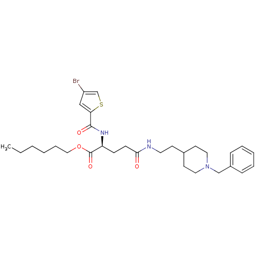PNG