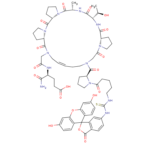 PNG