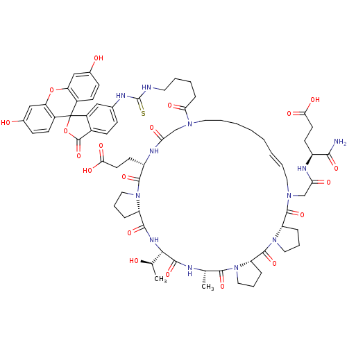 PNG