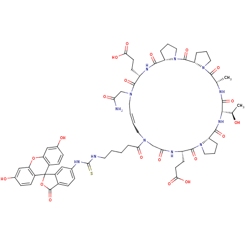 PNG