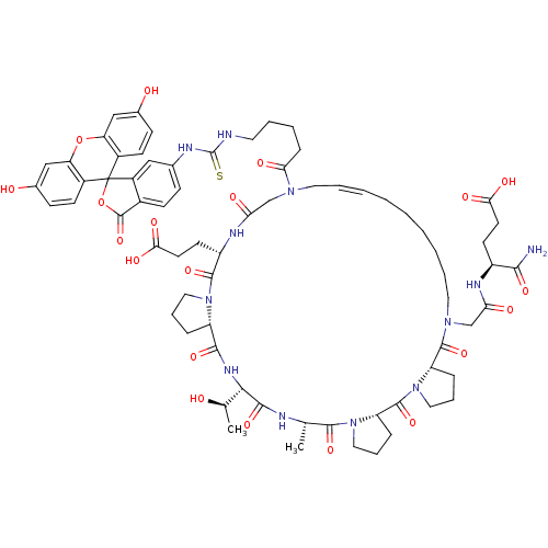 PNG