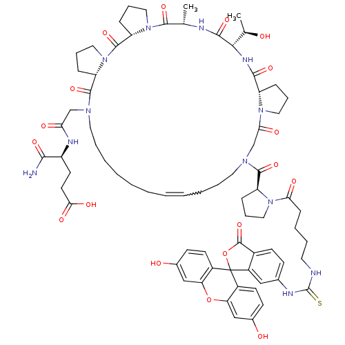 PNG