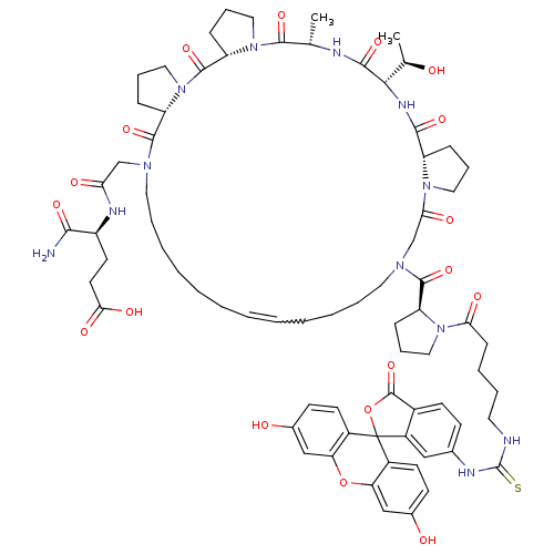 PNG