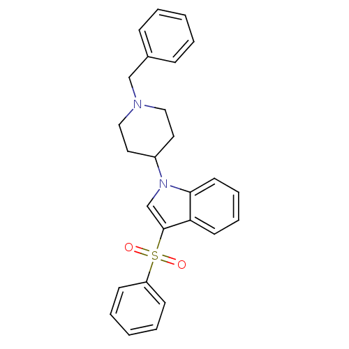 PNG