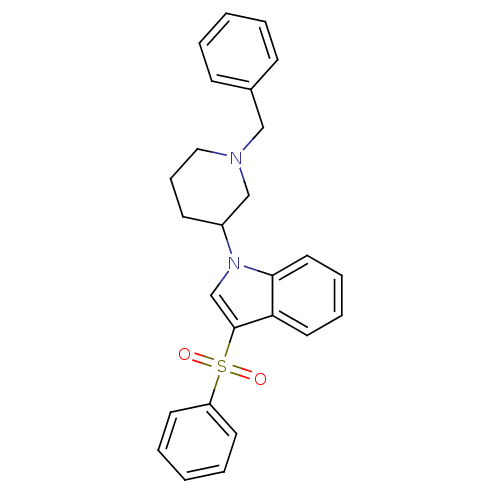 PNG