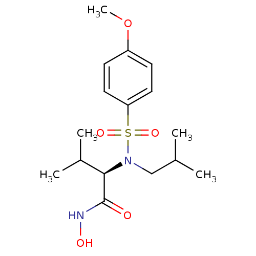 PNG