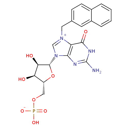 PNG