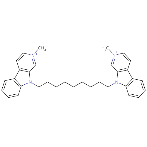 PNG