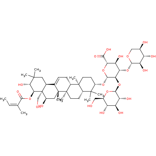 PNG