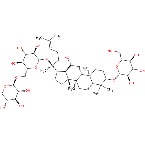 PNG
