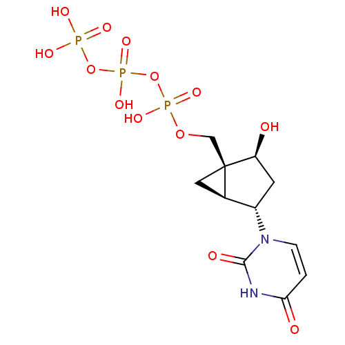 PNG